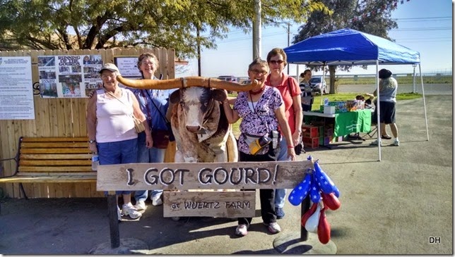 02-07-14 Gourd Festival Casa Grande (2)