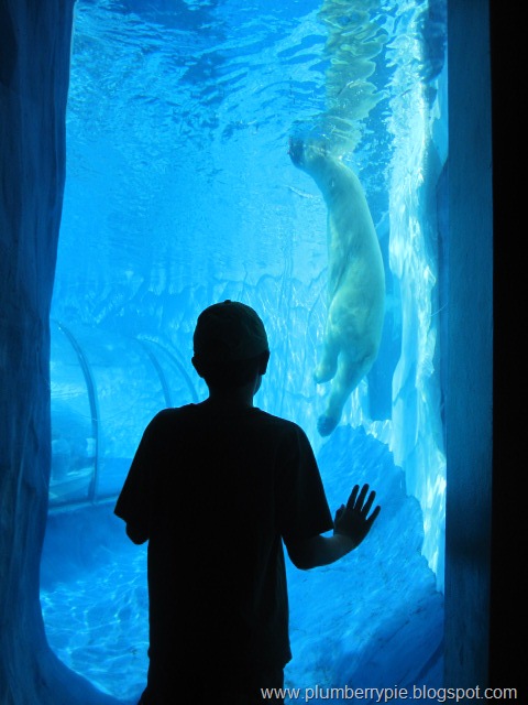 [IMG_3734%255B7%255D.jpg]