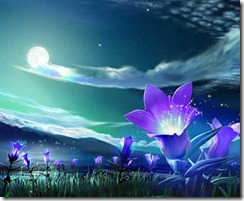 bunga-ungu-malam