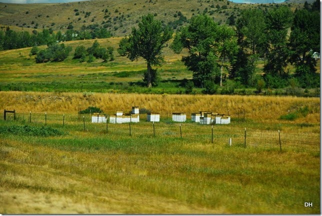 08-14-14 A Travel West Yellowstone to Missoula (199)