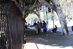 IMG_7409.jpg
