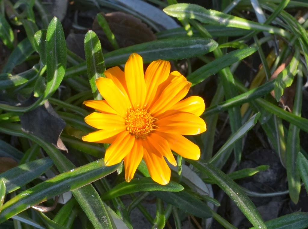 [DSC_0003%255B7%255D.jpg]