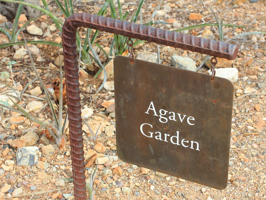 [120728_ArizonaSonoraDesertMuseum_027%255B11%255D.jpg]