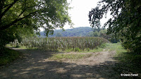 2011-09-03_13-58-02_106.jpg