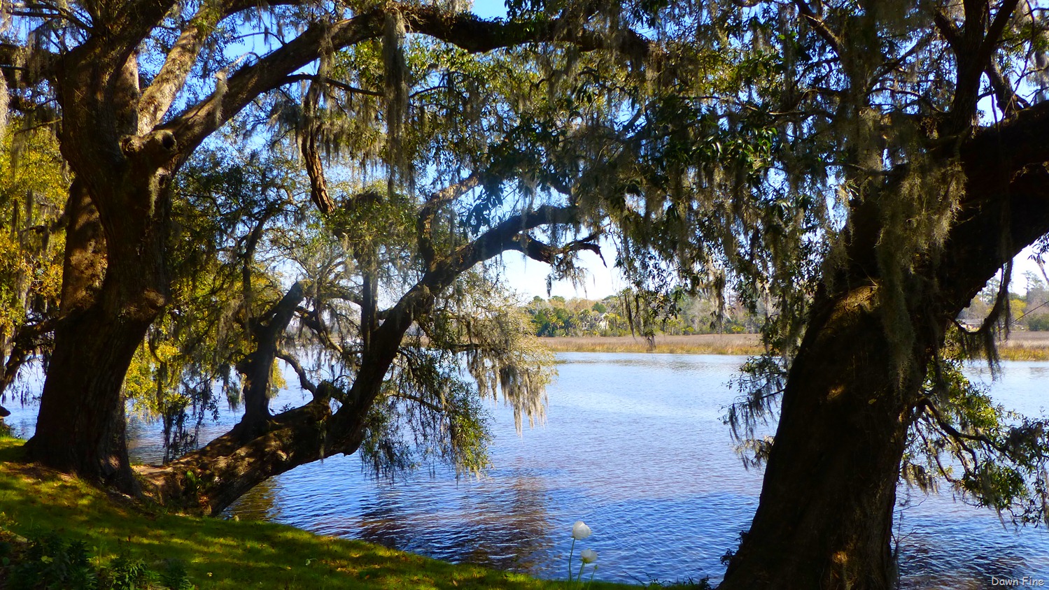 [Magnolia%2520Plantation_075%255B4%255D.jpg]