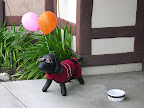 DSCN5738.JPG
