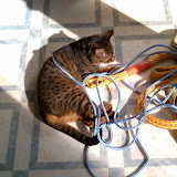 IMAG0035.jpg