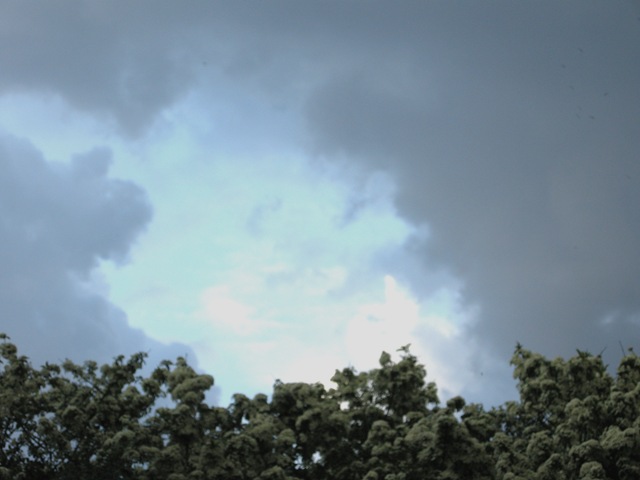 [DSCN1020%255B10%255D.jpg]