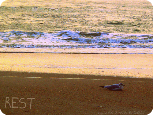 rest