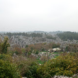 Shilin stone forest