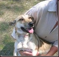 image0052