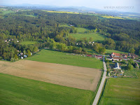 Borovnice_003.JPG