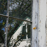"Looking Beyond" - copyright Martyne Bailey