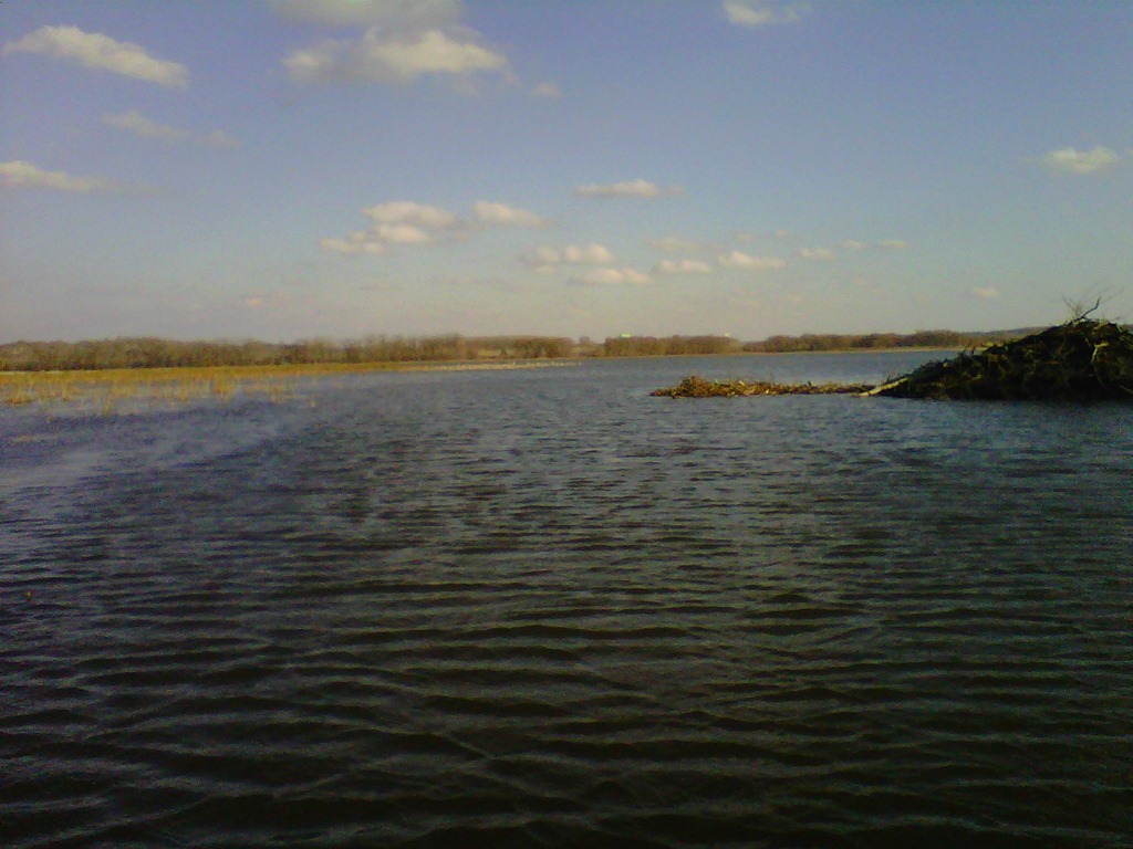 [IMG00304-20111106-1451%255B3%255D.jpg]