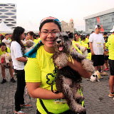 Pet Express Doggie Run 2012 Philippines. Jpg (18).JPG