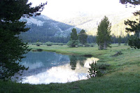 100_5320.JPG Photo