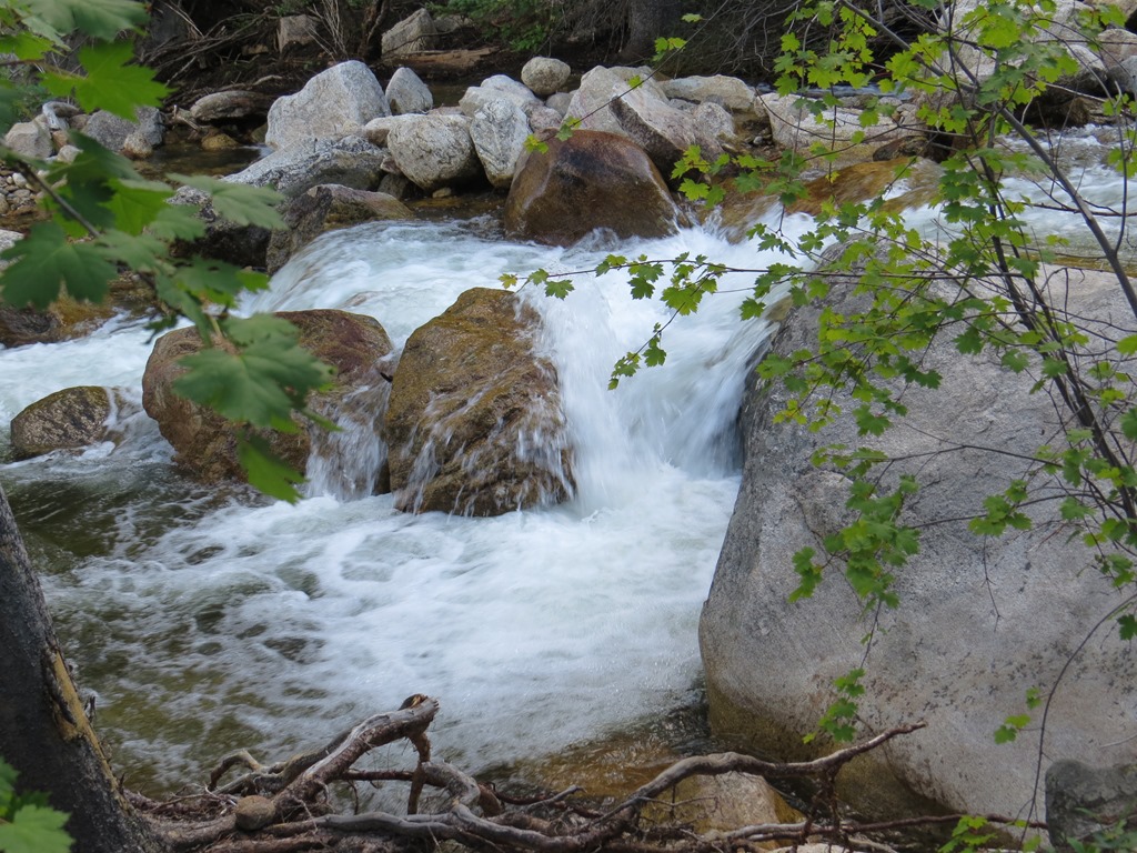 [IMG_7498%255B4%255D.jpg]