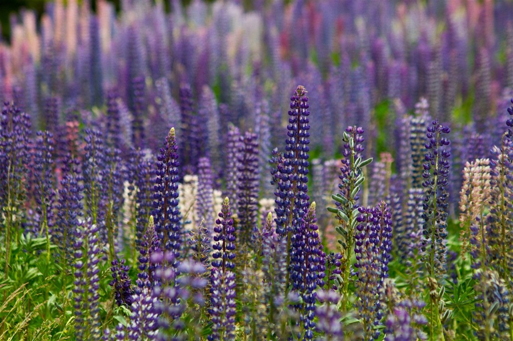[IMG_9739%255B3%255D.jpg]
