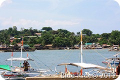 IMG_1923 IMG_1923