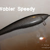 speedy1.jpg
