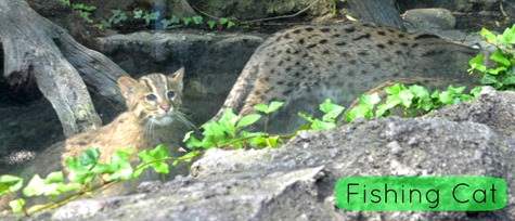 NationalZoo_1 NationalZoo_1