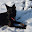 02-2009, Pudlov