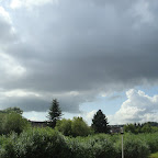 DSC05826.JPG