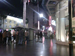 IMG00652-20100129-2334.jpg