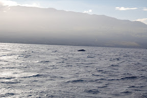 DSC_0830.JPG
