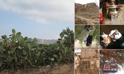 View album