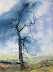 Lynne Armstrong