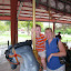 Carousel, Greenfield Village at Henry Ford. &ndash; 08-Aug-2010