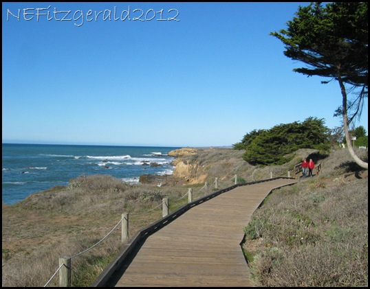 122_2289 MoonstoneBeach Boardwalk