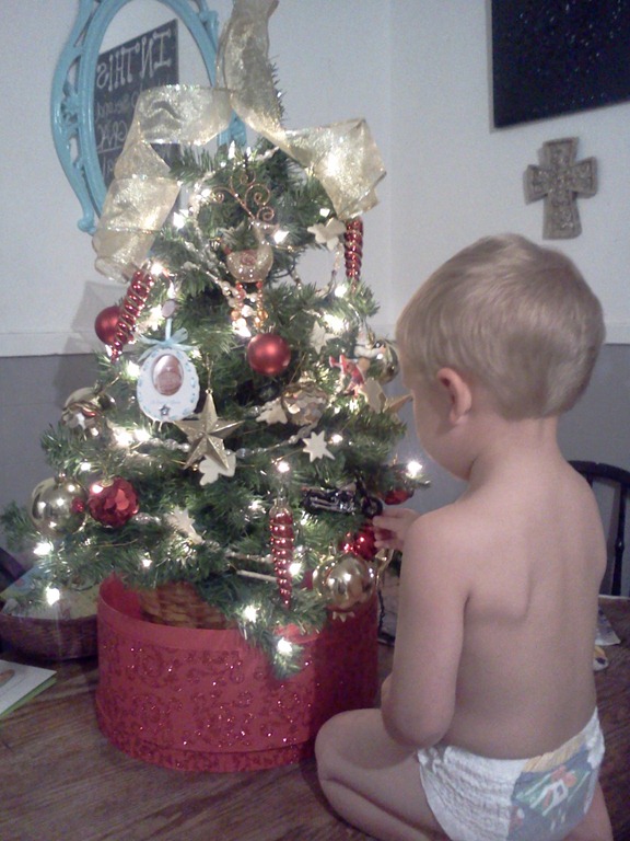 [Phone-pictures-13185.jpg]