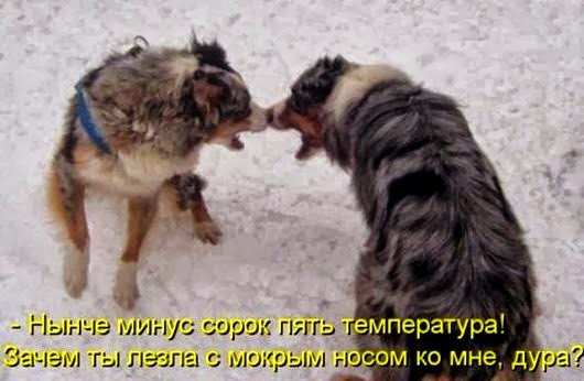 clip_image061