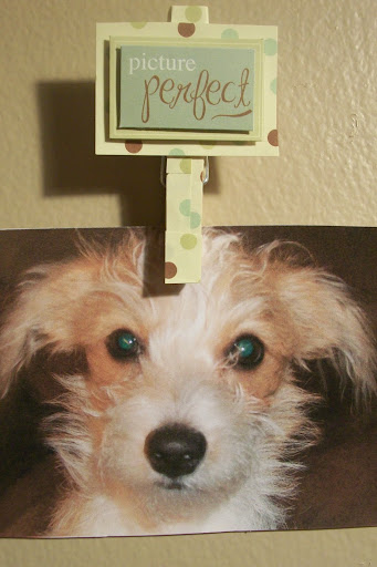 Clothespins are an easy way to display a photo decoratively.