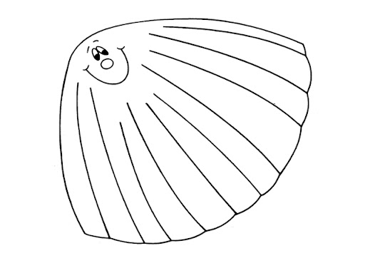 Concha para colorear - Imagui