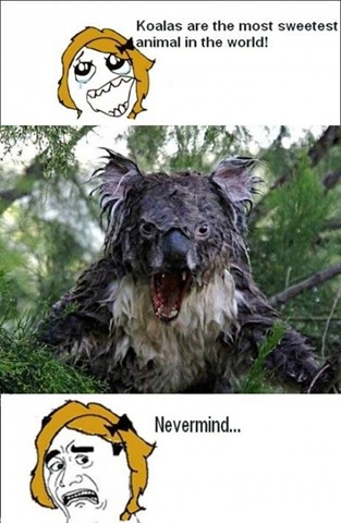 [viral-picdump-pics-bb68ca%255B2%255D.jpg]