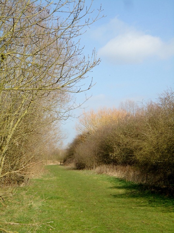 [Fen%2520Drayton%2520Lakes%252020%255B6%255D.jpg]