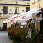 P1000478.JPG