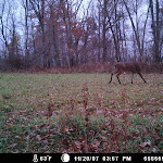 004 (2) - Copy.JPG