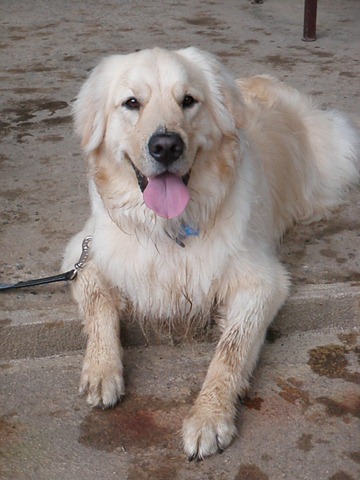 [Patas%252022%2520%252891%2529%255B4%255D.jpg]