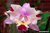 Natura :: Img0501.jpg