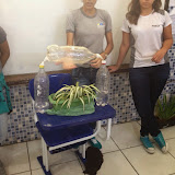 Trabalho de Geografia turma 2001/2015