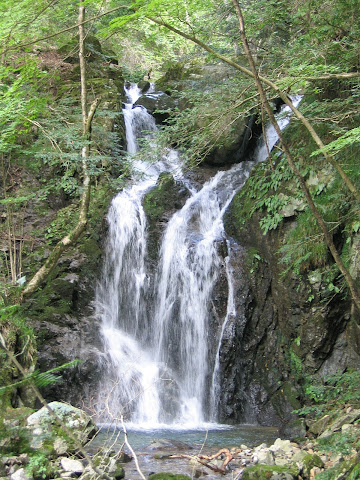 狒狒の滝