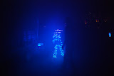 DSC_3146.JPG