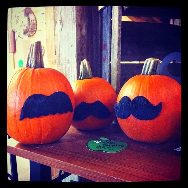 [mustache%2520pumpkins%25202%255B4%255D.jpg]