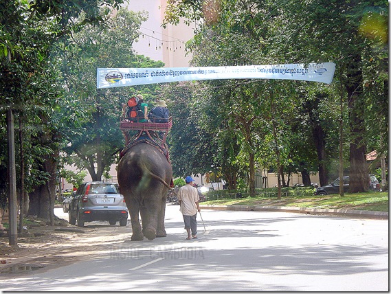 APAD 107 A ride on Sambo the elephant APAD 107 A ride on Sambo the elephant