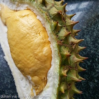 durian via ooohyy (instagram)
