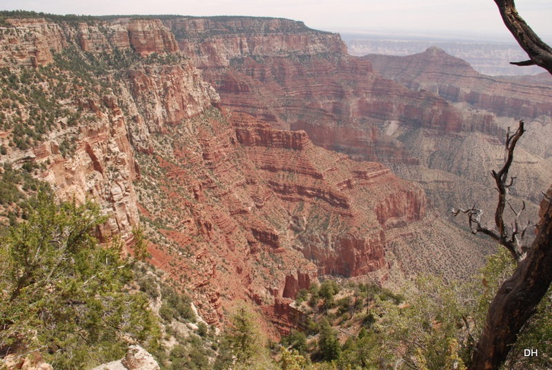[05-17-13-B-Grand-Canyon-North-Rim-Dr%255B41%255D.jpg]